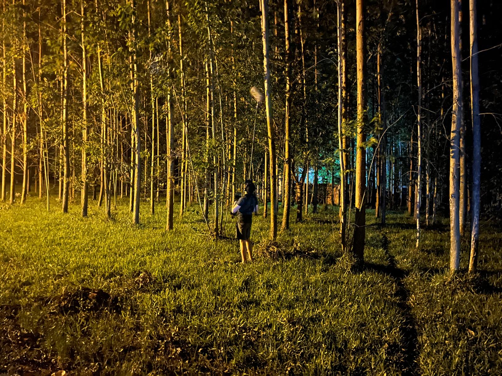 © Y. Lokshina / Trima Film